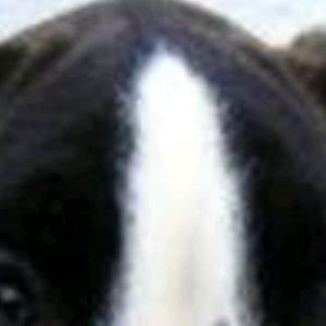 Meet your Posher, Denise